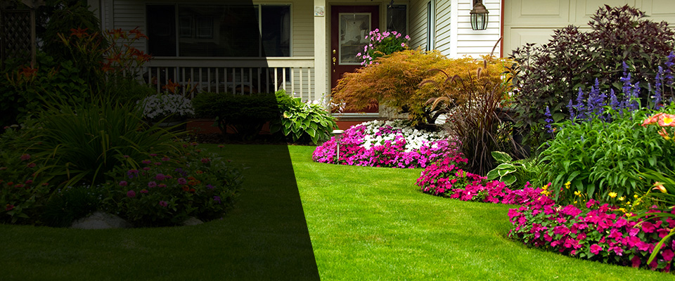 Wellington Landscapers